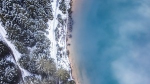 forest, trees, top view, ice, snow, winter, fog