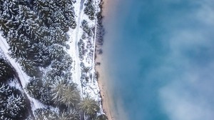 foresta, alberi, vista dall’alto, ghiaccio, neve, inverno, nebbia