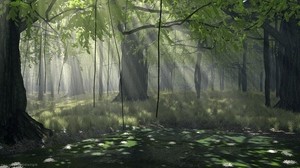 forest, trees, rays, sun, creepers