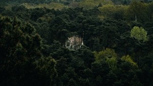 forest, house, lonely, top view, trees, nature - wallpapers, picture