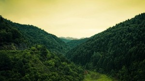 forest, the house, wilderness, mountains, green