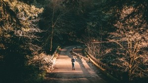 forest, road, man, lonely, loneliness, trees, branches