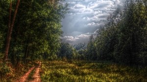 forest, road, country, cloudy, clouds, glade, colors, gloomy - wallpapers, picture