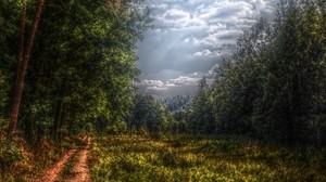 forest, road, country, cloudy, clouds, glade, colors, gloomy