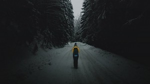 forest, road, silhouette, snow, winter, dusk