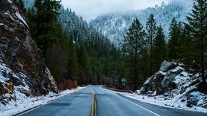 forest, road, snow, winter - wallpapers, picture