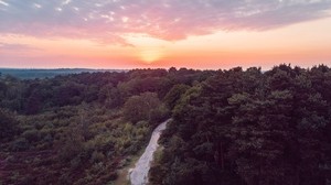 forest, track, top view, sunset, horizon