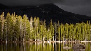 forest, mountain, volcano, lake, shore, peak, gloomy, autumn - wallpapers, picture