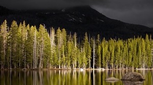 forest, mountain, volcano, lake, shore, peak, gloomy, autumn