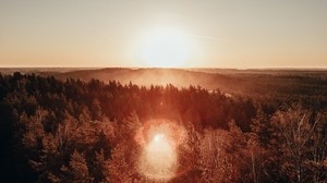 forest, horizon, dawn, fog, sun, lens flare, top view