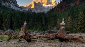 forest, mountains, driftwood, stones, landscape