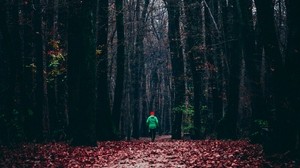 森林，秋天，人，孤独，奔跑，树叶