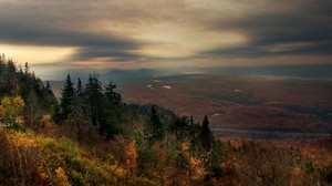forest, autumn, evening, fog, clouds, height - wallpapers, picture
