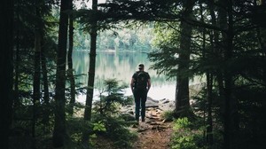 forest, lake, man, tourist, trees, nature - wallpapers, picture