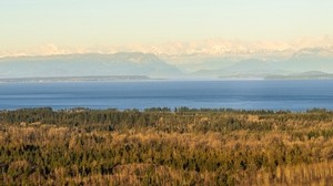 forest, lake, mountains, horizon, fog, clouds