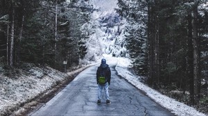 forest, walk, loneliness, winter, road