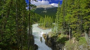 bosque, río, islote, árboles, verdes, reserva