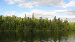 forest, river, water, shore, greens, summer, sky