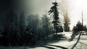 bosque, nieve, árboles, sombras, oscuridad, rastros - wallpapers, picture