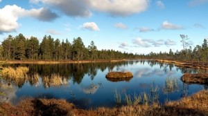 bosque, hierba, seco, lago, otoño, islote, sombras, nubes, reflexión, octubre, paisaje