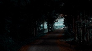 森林，道路，树木，黑暗，阴影