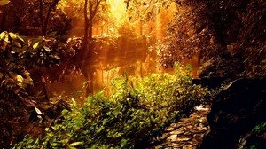 forest, path, stones, sunlight, rays, trees, vegetation - wallpapers, picture