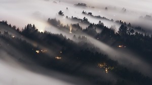 forest, fog, trees, shine, top view