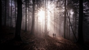 forest, fog, silhouettes, walk, autumn, couple - wallpapers, picture