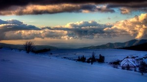 foresta, stagioni, immagini, alberi