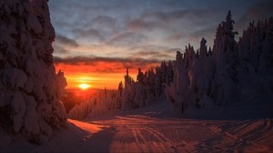 forest, sunset, winter, landscape, slope, snowy