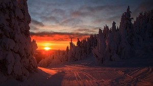 森、日没、冬、風景、斜面、雪