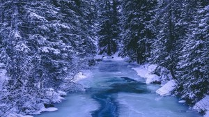 forest, winter, river, snow, ice, trees