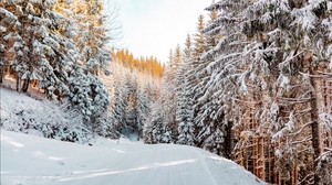 bosque, invierno, nieve, camino, cielo, naturaleza, paisaje de invierno