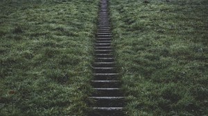 stairs, grass, rise, blur - wallpapers, picture