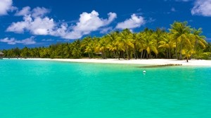 summer, maldives, tropics, the beach, palm trees