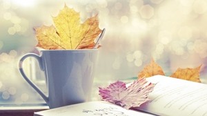leaf, cup, book, autumn