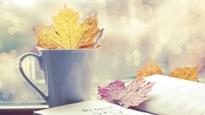 leaf, cup, book, autumn - wallpapers, picture