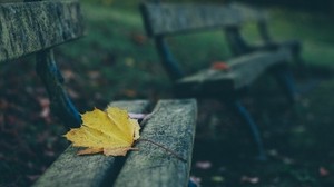 leaf, autumn, bench - wallpapers, picture