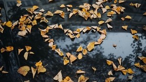 foliage, autumn, heart, dry, fallen - wallpapers, picture