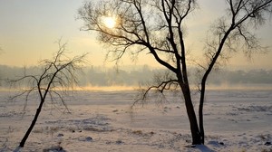 lithuania, kaunas, trees, snow, haze, glade, light - wallpapers, picture
