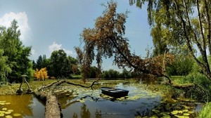 boat, trees, water lilies, garden, sky, clouds, reflection, log, dead