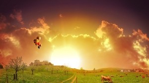 meadow, road, pasture, cows, balloons