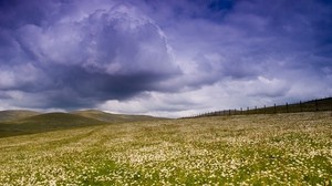 meadow, plain, flowers, field, greens, pasture, fence, sky, clouds