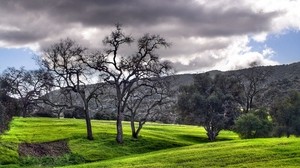 meadows, trees, plain, clouds, gray, green, mountains - wallpapers, picture
