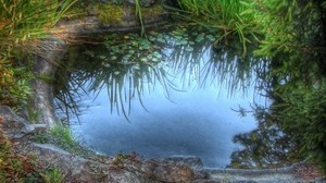 puddle, grass, lake, lilies, stones, reflection