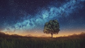 césped, árbol, noche, cielo estrellado, oscuro