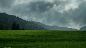lawn, mountains, forest, fog, clouds