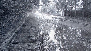 puddles, paths, tram, street, paving stones, black and white