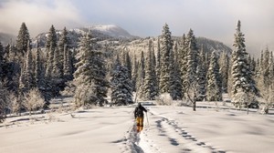 hiihtäjä, vuoret, lumi, talvi - wallpapers, picture