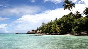 maldives, ocean, bay, island, palm trees, shore